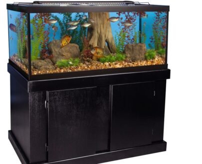 Majesty Aquarium Stand