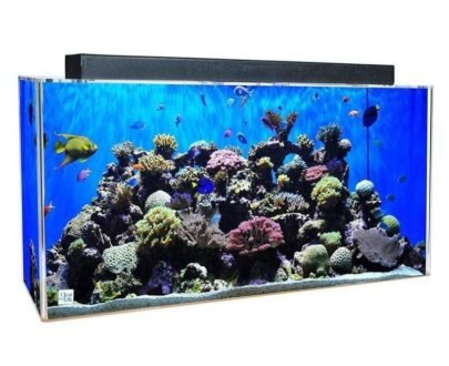 Buy Clear-For-Life 240 Gallon